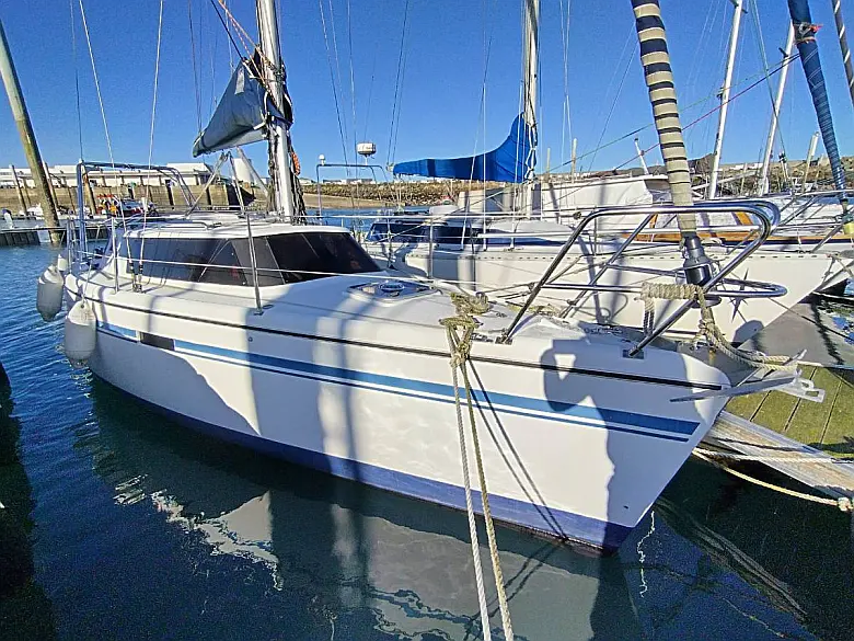Wrighton - BI LOUP 30